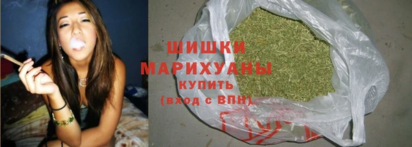 молекула духа Инсар