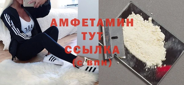 молекула духа Инсар